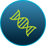 DNA icon